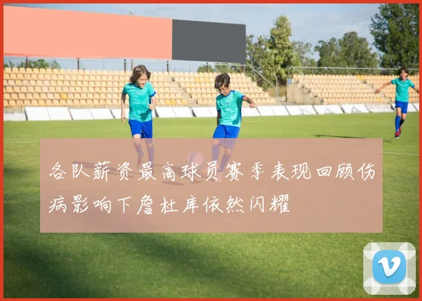 各队薪资最高球员赛季表现回顾伤病影响下詹杜库依然闪耀