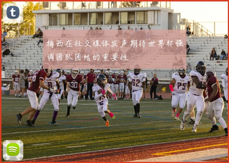 梅西在社交媒体发声期待世界杯强调团队团结的重要性